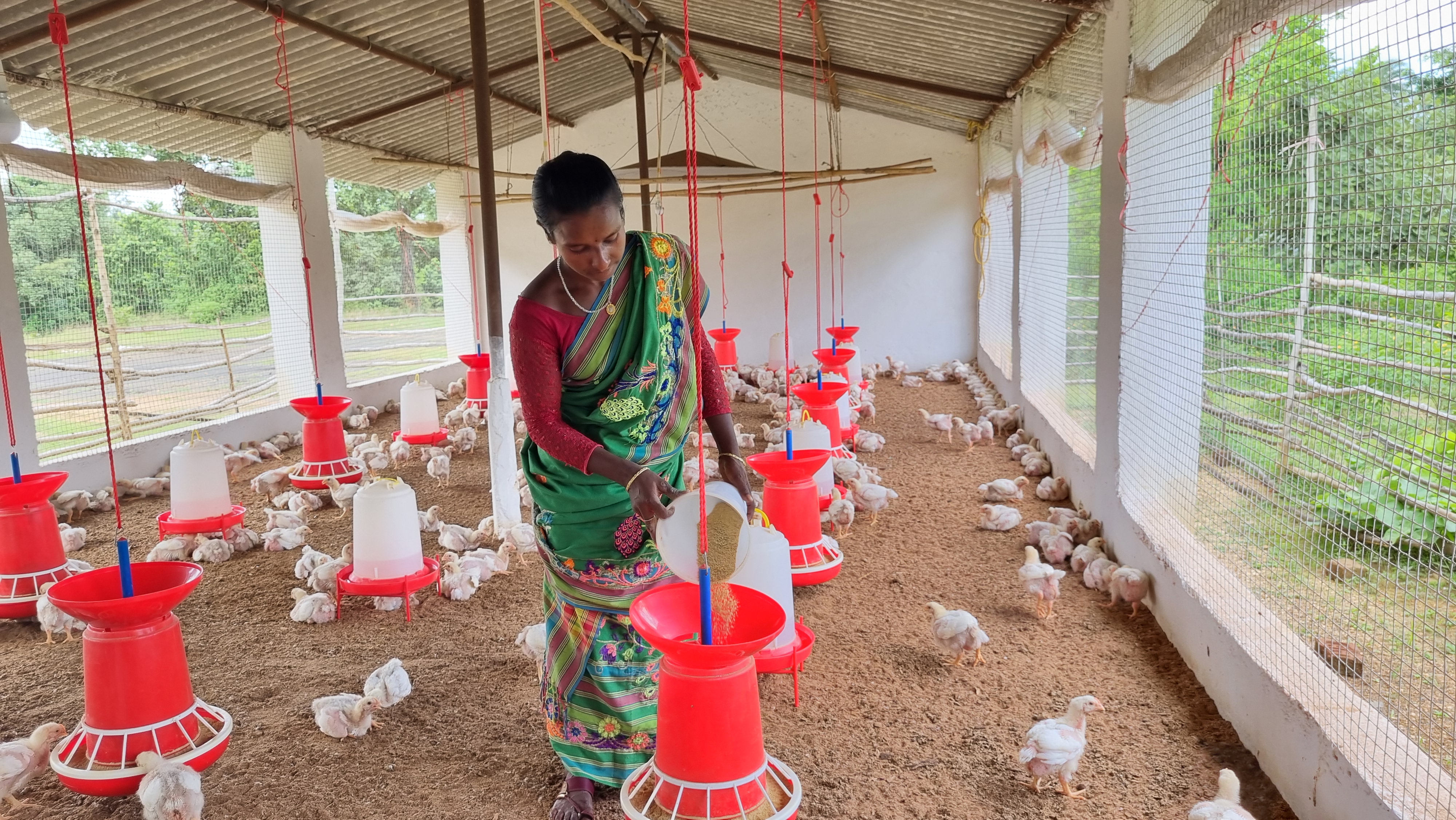 Women Skill Development