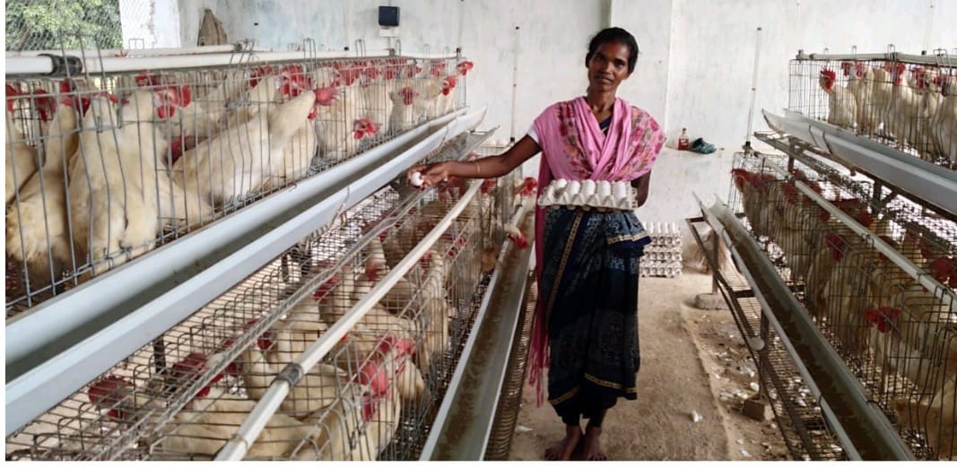 Input Supply & Technical Guidance