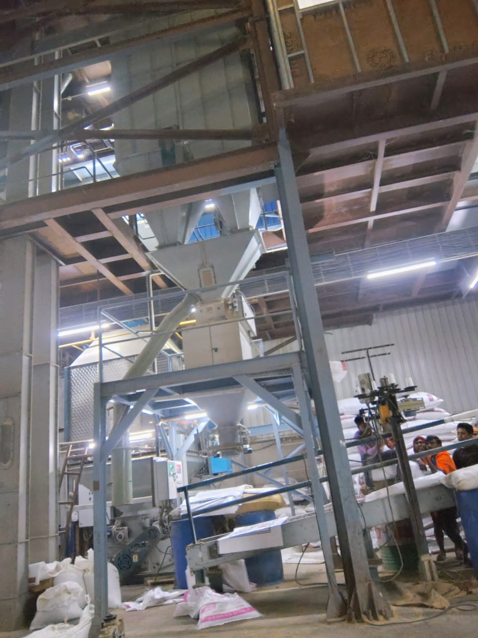 Broiler Breeder Parent Farm